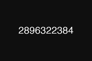 2896322384