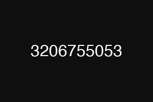 3206755053