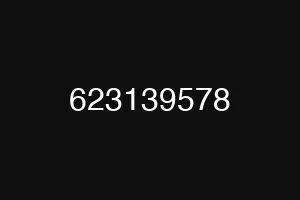 623139578