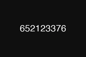652123376