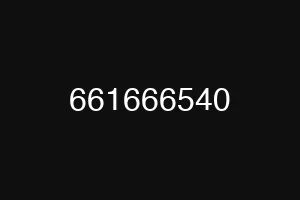 661666540