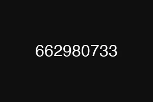 662980733