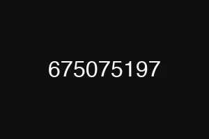 675075197