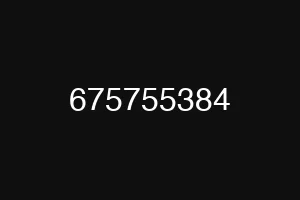 675755384