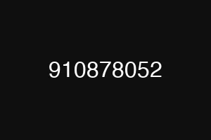 910878052