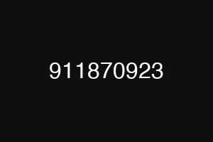 911870923