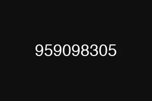 959098305