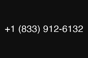 +1 (833) 912-6132