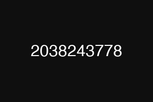 2038243778