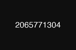 2065771304