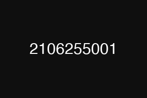 2106255001