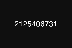 2125406731