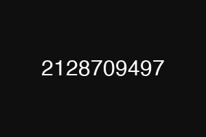 2128709497