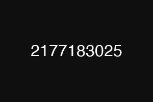 2177183025