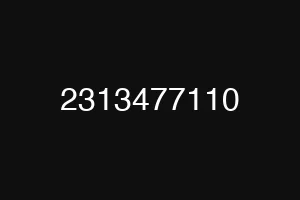 2313477110