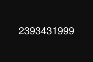 2393431999