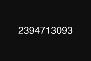 2394713093