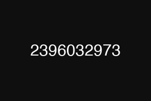 2396032973