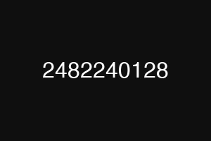 2482240128