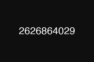 2626864029