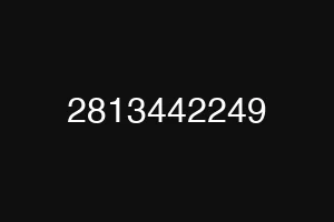 2813442249
