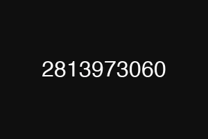 2813973060